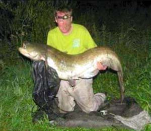 94lb catfish from River Severn 300.jpg